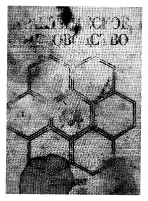 Недялков С., Бижев Б. Практическое пчеловодство