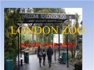 My London Zoo