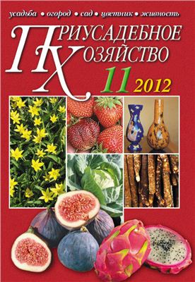 Приусадебное хозяйство 2012 №11