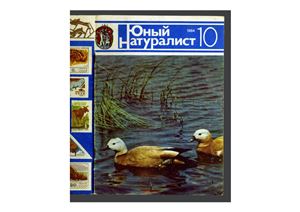 Юный натуралист 1984 №10