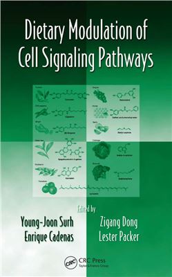 Surh Young-Joon, Dong Z., Cadenas E., Packer L. Dietary Modulation of Cell Signaling Pathways