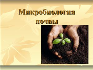 Презентация - Микробиология почвы