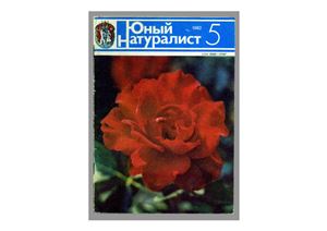 Юный натуралист 1982 №05