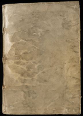 Манускрипт Войнича (Voynich Manuscript)