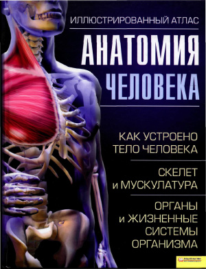 Касан Адольфо. Анатомия человека: Иллюстрированный атлас