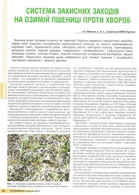 Марков І.Л. Система захисних заходів на озимій пшениці проти хвороб