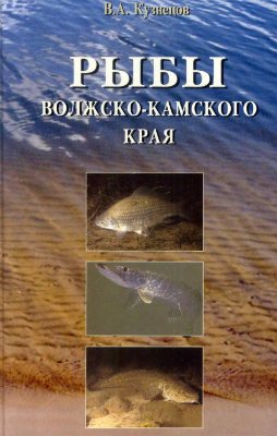 Кузнецов В.А. Рыбы Волжско-Камского края
