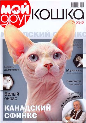 Мой друг кошка 2012 №07