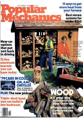 Popular Mechanics 1978 №10