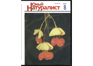 Юный натуралист 1995 №08