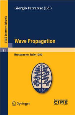 Ferrarese G. (editor) Wave Propagation
