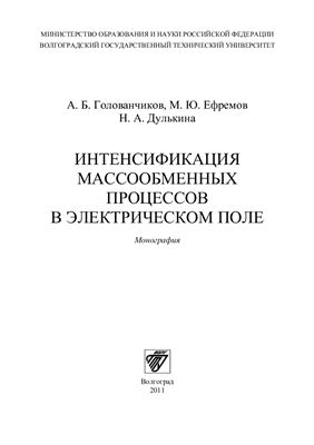 Голованчиков А.Б., Ефремов М.Ю., Дулькина Н.А. Интенсификация массообменных процессов в электрическом поле