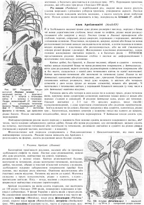 Нечитайло В.А., Кучерява Л.Ф. Ботаніка. Вищі рослини