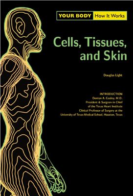 Light D. Cells, Tissues, and Skin