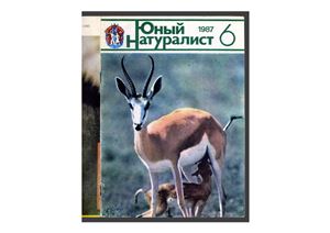 Юный натуралист 1987 №06