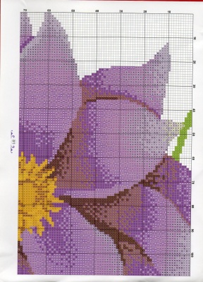 Spring Crooss Stitch 2011 - Вышивка крестиком. фиолетовые цветы