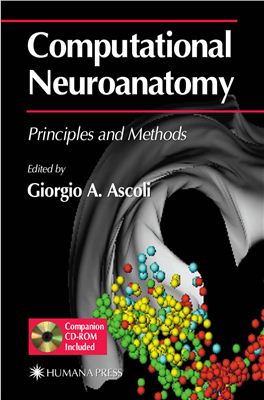 Ascoli G. Computational Neuroanatomy: Principles and Methods - 2002
