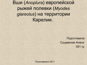 Вши (Anoplura) европейской рыжей полевки (Myodes glareolus) на территории Карелии