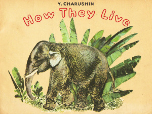 Charushin Yevgeny. How They Live