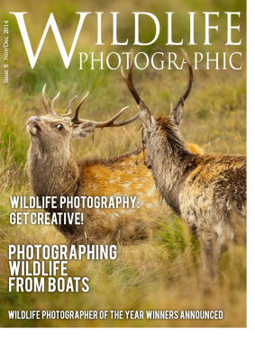 Wildlife Photographic 2014 №11-12