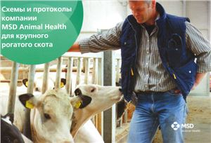 Схемы и протоколы компании MSD Animal Health для крупного рогатого скота