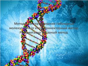 Методы конструирования гибридных молекул ДНК in vitro. Коннекторный метод. Рестриктазно-лигазный метод