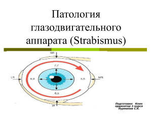 Патология глазодвигательного аппарата (Strabismus)