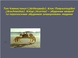 Тип Членистоногі (Arthropoda). Клас Павукоподібні (Arachnoidea). Кліщі (Acarina) - збудники хвороб та переносники збудників захворювань людини