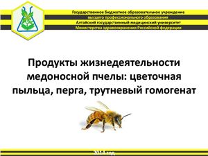 Продукты жизнедеятельности медоносной пчелы: цветочная пыльца, перга, трутневый гомогенат