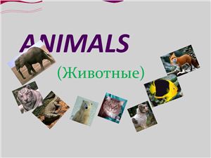 Животные на английском языке