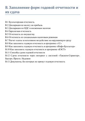 Новоселов К., Разгулин С., Лапина А. Годовой отчет 2008 (Раздел B)