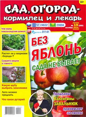Сад, огород - кормилец и лекарь 2015 №19 (255)