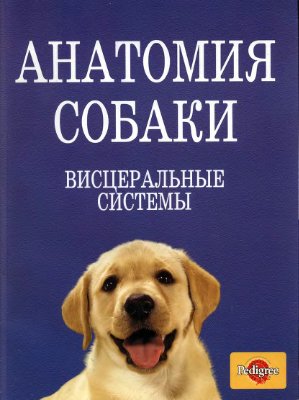 Слесаренко Н.А. (ред.) Анатомия собаки. Висцеральные системы