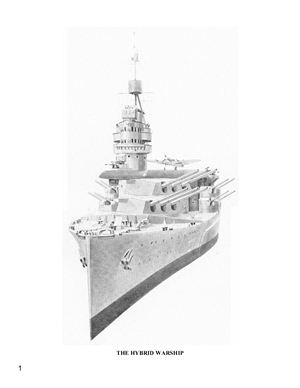 Layman R., McLaughlin S. The Hybrid Warship.The Amalgamation of Big Guns and Aircraft