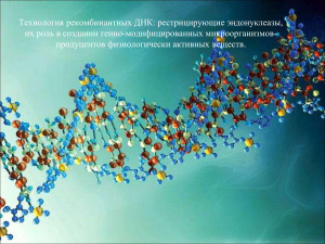 Технология рекомбинантных ДНК: рестрицирующие эндонуклеазы, их роль в создании генно-модифицированных микроорганизмов-продуцентов физиологически активных веществ