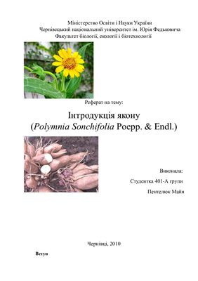 Реферат - Інтродукція якону Polymnia sonchifolia