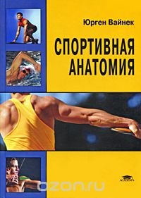 Вайнек Ю. Спортивная анатомия