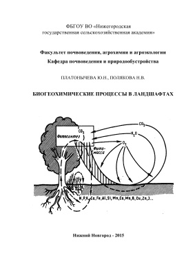 Платонычева Ю.Н., Полякова Н.В. Биогеохимические процессы в ландшафтах