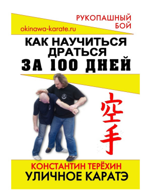 Терёхин Константин. Уличное каратэ: Как научиться драться за 100 дней