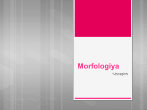 Morfologiya