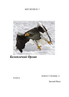 Реферат - Белоплечий орлан. Животные Красной книги Камчатки