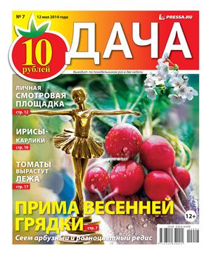 Дача Pressa.ru 2014 №07