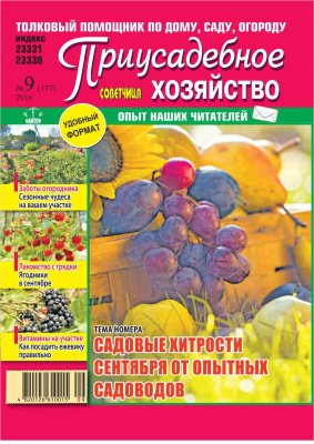 Советчица. Приусадебное хозяйство 2016 №09 (Украина)