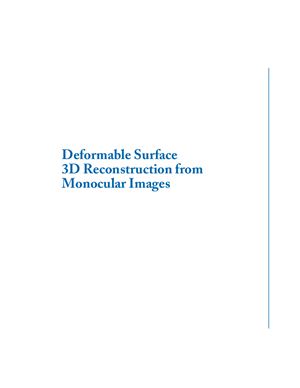 Salzmann M., Fua P. Deformable Surface 3D Reconstruction from Monocular Images
