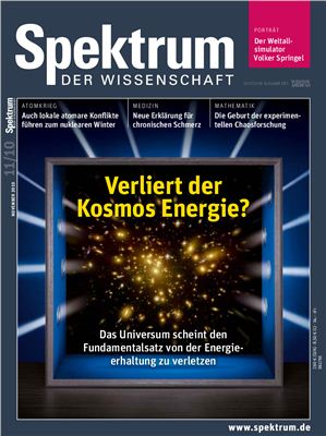 Spektrum der Wissenschaft 2010 №11