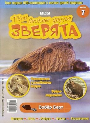 Твои веселые друзья, зверята 2010 №07. Бобер Берт. Видеоприложение