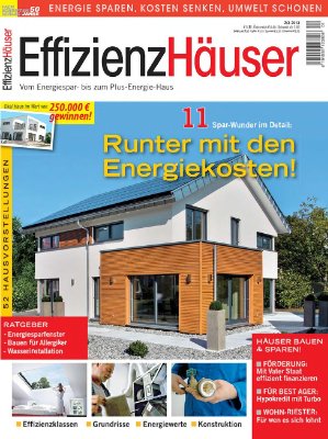 Effizienz Hauser 2013 №02-03