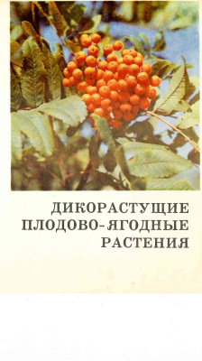Оноприенко А.А. Дикорастущие плодово-ягодные растения