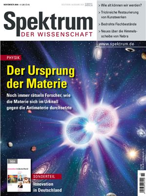Spektrum der Wissenschaft 2004 №11