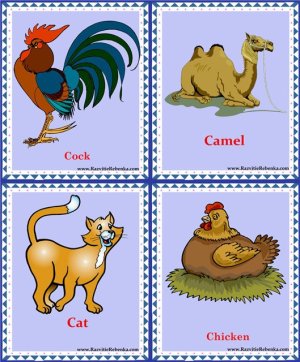 Карточки с изображением животных на английском языке